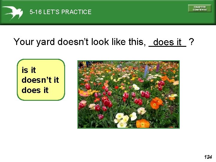 5 -16 LET’S PRACTICE Your yard doesn’t look like this, _______ does it ?