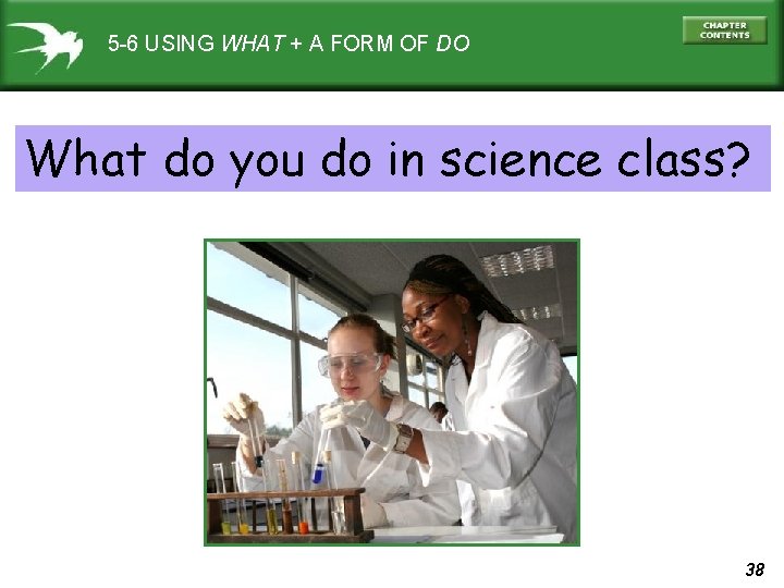 5 -6 USING WHAT + A FORM OF DO What do you do in