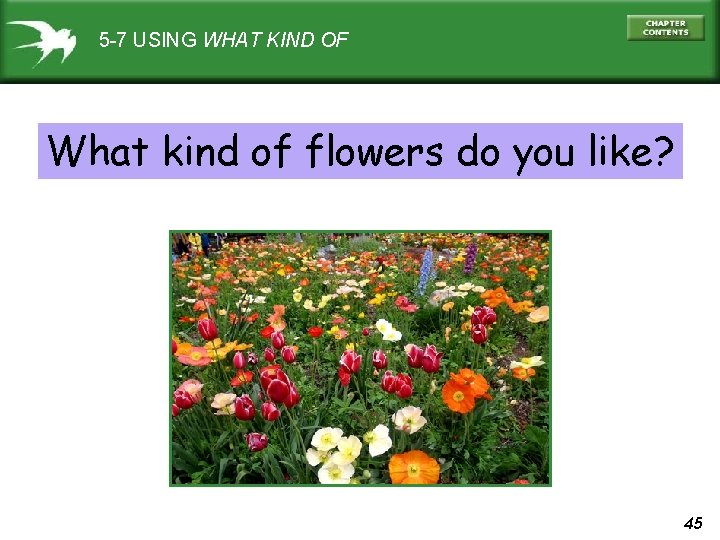 5 -7 USING WHAT KIND OF What kind of flowers do you like? 45