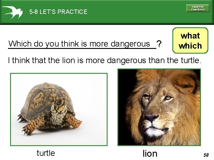 5 -8 LET’S PRACTICE Which do you think is more dangerous ______________? what which