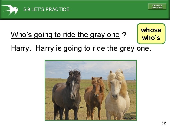 5 -9 LET’S PRACTICE Who’s going to ride the gray one ? _____________ whose
