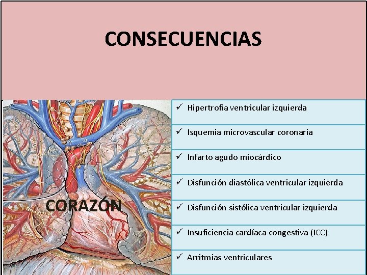 CONSECUENCIAS ü Hipertrofia ventricular izquierda ü Isquemia microvascular coronaria ü Infarto agudo miocárdico ü