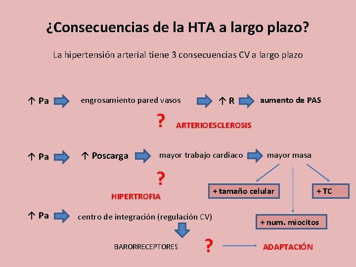 ¿Consecuencias de la HTA a largo plazo? La hipertensión arterial tiene 3 consecuencias CV