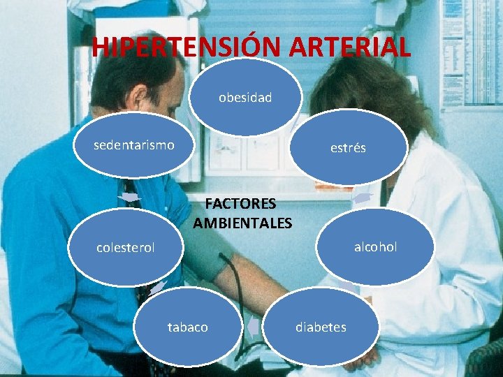HIPERTENSIÓN ARTERIAL obesidad sedentarismo estrés FACTORES AMBIENTALES alcohol colesterol tabaco diabetes 