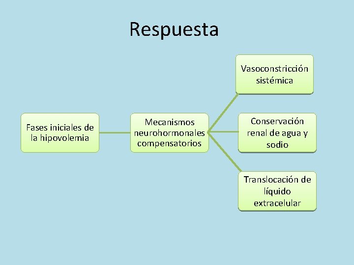 Respuesta Vasoconstricción sistémica Fases iniciales de la hipovolemia Mecanismos neurohormonales compensatorios Conservación renal de