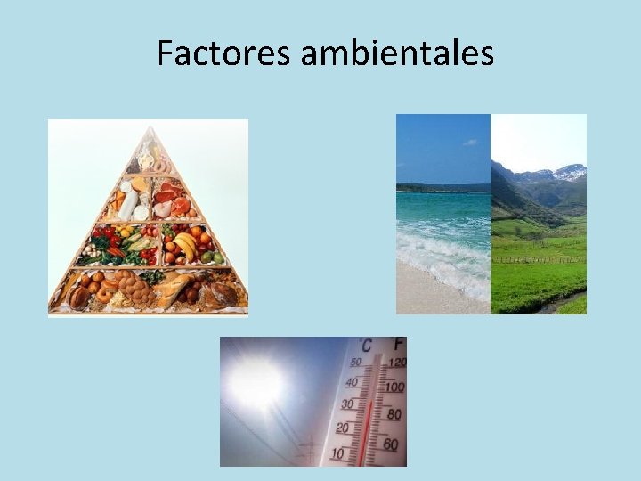 Factores ambientales 