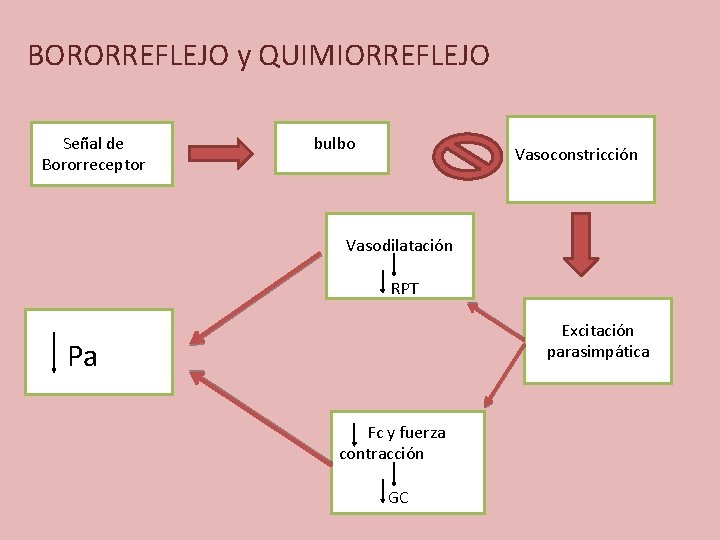 BORORREFLEJO y QUIMIORREFLEJO Señal de Bororreceptor bulbo Vasoconstricción Vasodilatación RPT Excitación parasimpática Pa Fc