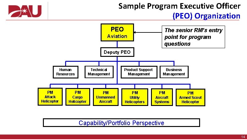 Sample Program Executive Officer (PEO) Organization PEO The senior RM’s entry point for program