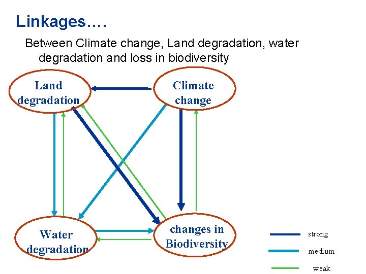 Linkages…. Between Climate change, Land degradation, water degradation and loss in biodiversity Land degradation