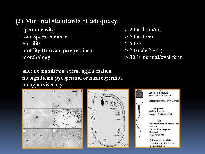  (2) Minimal standards of adequacy sperm density total sperm number viability motility (forward