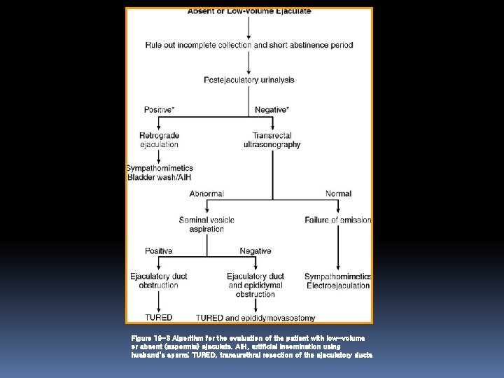 Figure 19 -3 Algorithm for the evaluation of the patient with low-volume or absent