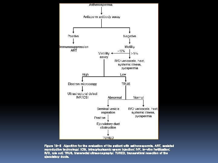 Figure 19 -5 Algorithm for the evaluation of the patient with asthenospermia. ART, assisted