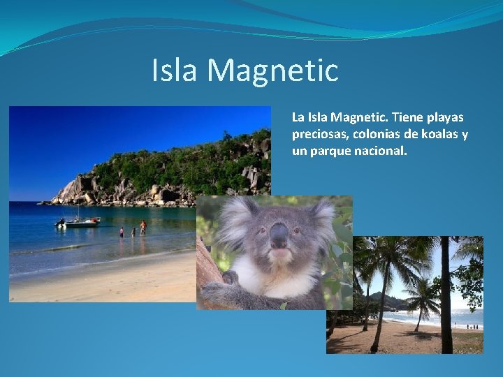 Isla Magnetic La Isla Magnetic. Tiene playas preciosas, colonias de koalas y un parque