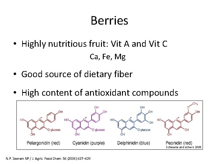 Berries • Highly nutritious fruit: Vit A and Vit C Ca, Fe, Mg •