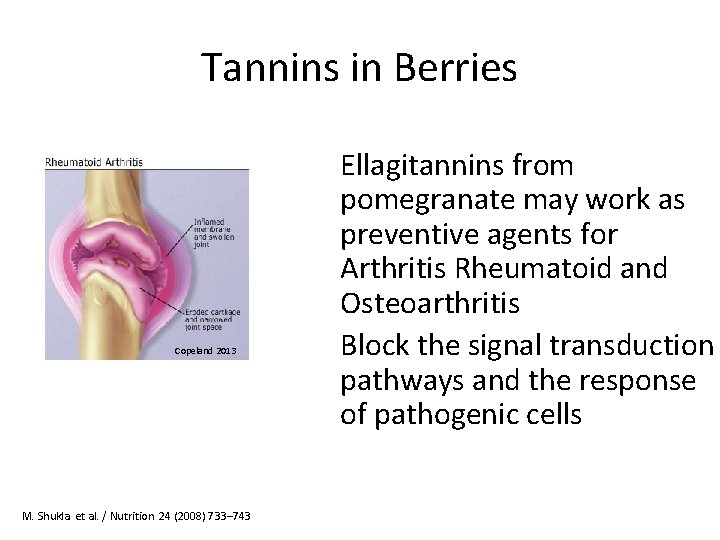 Tannins in Berries Copeland 2013 M. Shukla et al. / Nutrition 24 (2008) 733–