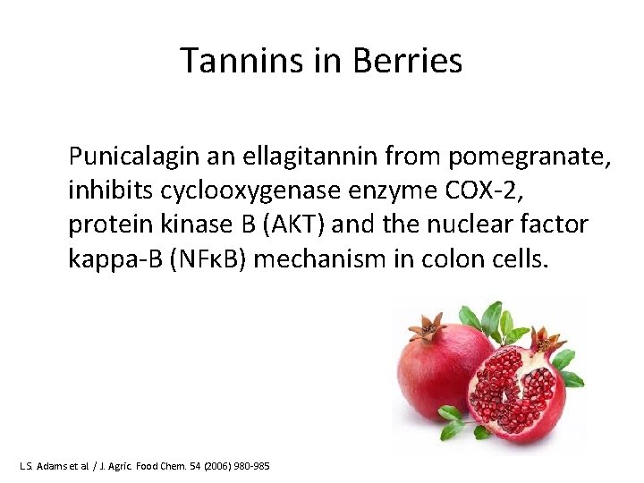 Tannins in Berries Punicalagin an ellagitannin from pomegranate, inhibits cyclooxygenase enzyme COX-2, protein kinase