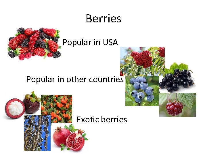 Berries Popular in USA Popular in other countries Exotic berries 