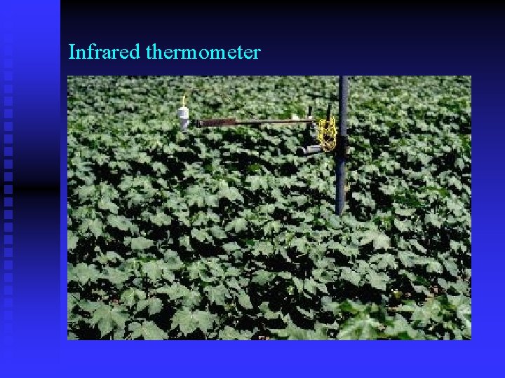 Infrared thermometer n 