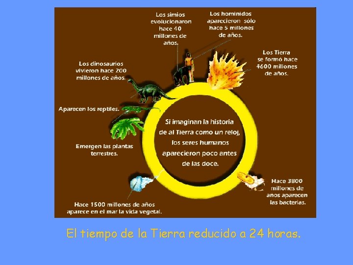 El tiempo de la Tierra reducido a 24 horas 