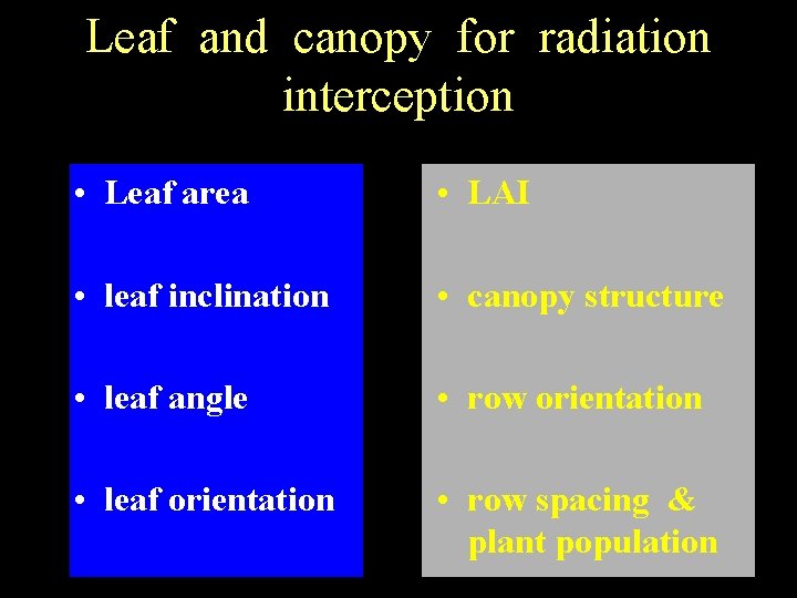 Leaf and canopy for radiation interception • Leaf area • LAI • leaf inclination