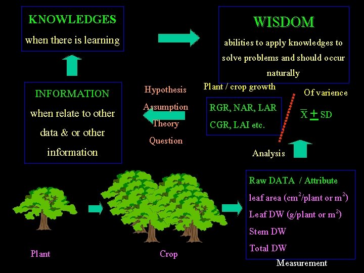 KNOWLEDGES WISDOM when there is learning INFORMATION when relate to other data & or