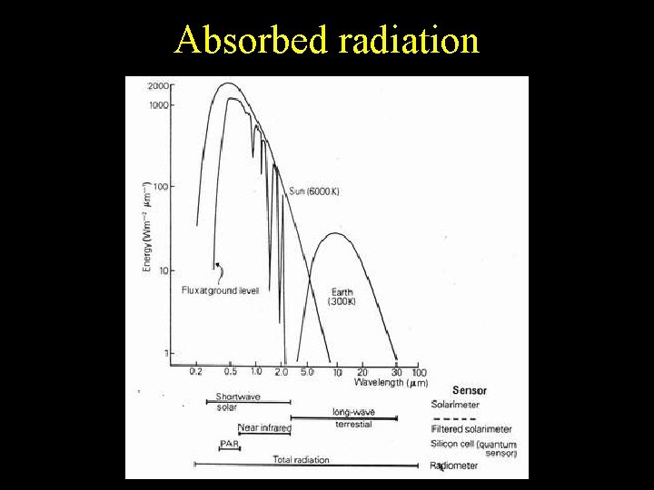 Absorbed radiation 