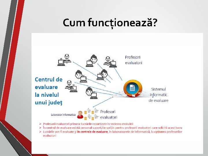 Cum funcționează? 