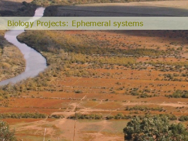 Biology Projects: Ephemeral systems 