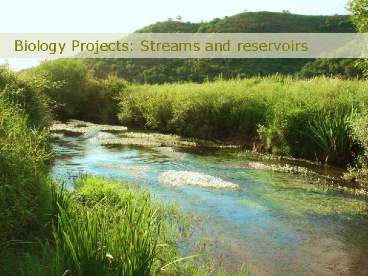 Biology Projects: Streams and reservoirs 