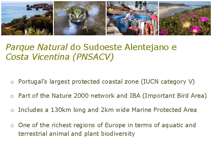 Parque Natural do Sudoeste Alentejano e Costa Vicentina (PNSACV) o Portugal’s largest protected coastal