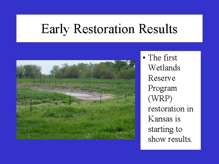 Early Restoration Results • The first Wetlands Reserve Program (WRP) restoration in Kansas is Early Restoration Results • The first Wetlands Reserve Program (WRP) restoration in Kansas is