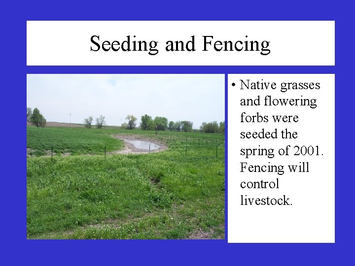 Seeding and Fencing • Native grasses and flowering forbs were seeded the spring of Seeding and Fencing • Native grasses and flowering forbs were seeded the spring of