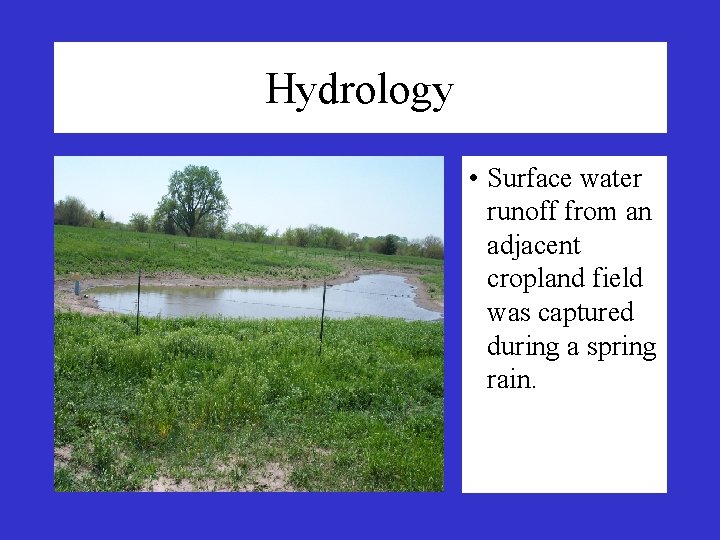Hydrology • Surface water runoff from an adjacent cropland field was captured during a Hydrology • Surface water runoff from an adjacent cropland field was captured during a
