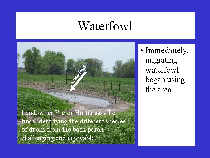 wa ter fo wl Waterfowl Landowner Victor Hurtig says he finds identifying the different wa ter fo wl Waterfowl Landowner Victor Hurtig says he finds identifying the different