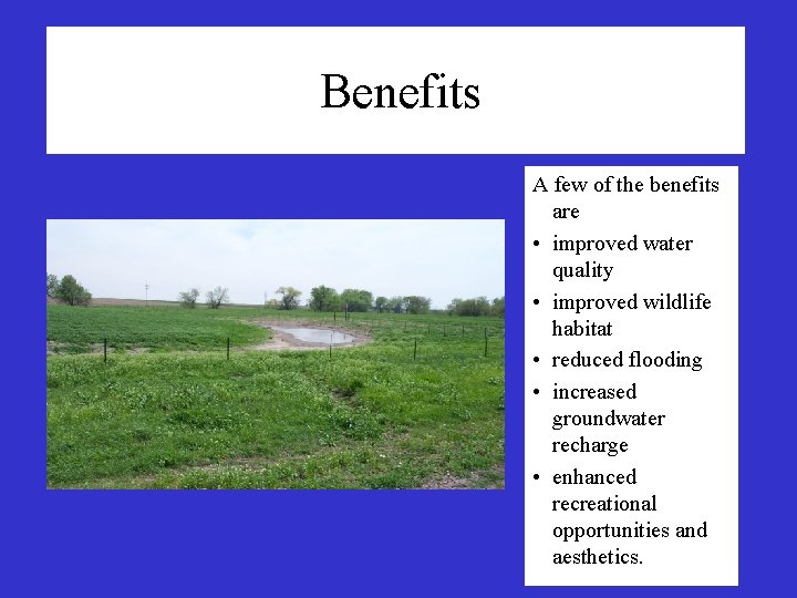 Benefits A few of the benefits are • improved water quality • improved wildlife Benefits A few of the benefits are • improved water quality • improved wildlife