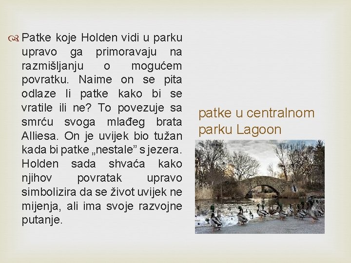 Patke koje Holden vidi u parku upravo ga primoravaju na razmišljanju o mogućem Patke koje Holden vidi u parku upravo ga primoravaju na razmišljanju o mogućem