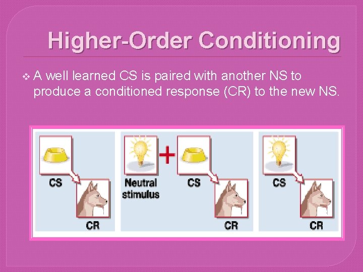 Higher-Order Conditioning v A well learned CS is paired with another NS to produce