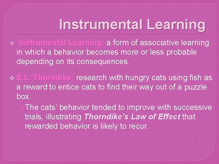 Instrumental Learning v Instrumental Learning: a form of associative learning in which a behavior