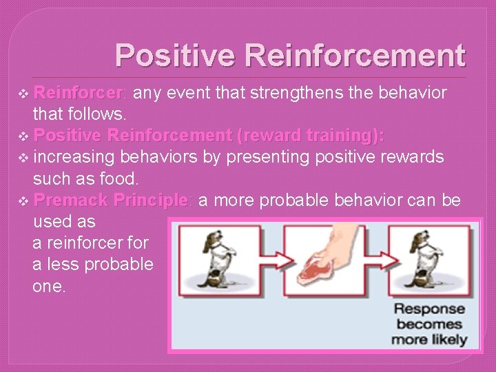 Positive Reinforcement v Reinforcer: Reinforcer any event that strengthens the behavior that follows. v