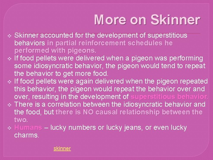 More on Skinner accounted for the development of superstitious behaviors in partial reinforcement schedules