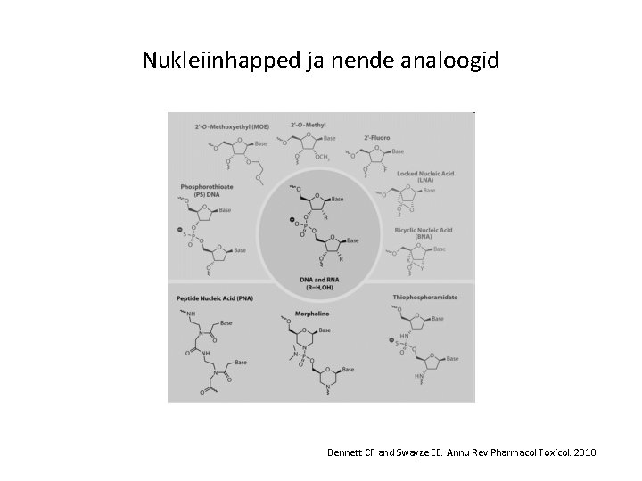 Nukleiinhapped ja nende analoogid Bennett CF and Swayze EE. Annu Rev Pharmacol Toxicol. 2010 Nukleiinhapped ja nende analoogid Bennett CF and Swayze EE. Annu Rev Pharmacol Toxicol. 2010