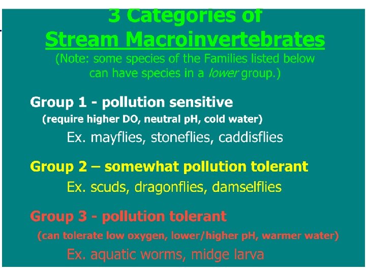 Le specie indicatrici e gli indicatori ecologici Efemerotteri Bioindicatori di acque pulite Plecotteri 