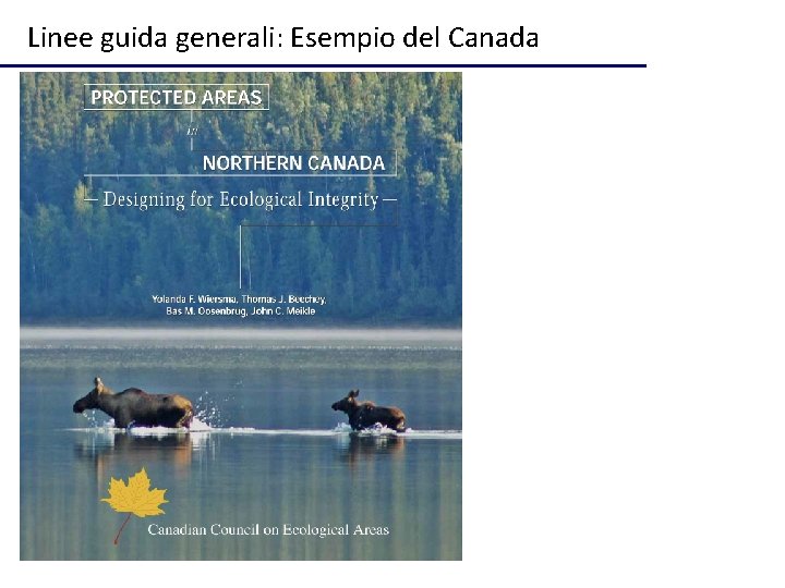 Linee guida generali: Esempio del Canada 