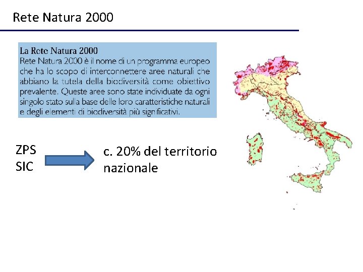 Rete Natura 2000 ZPS SIC c. 20% del territorio nazionale 