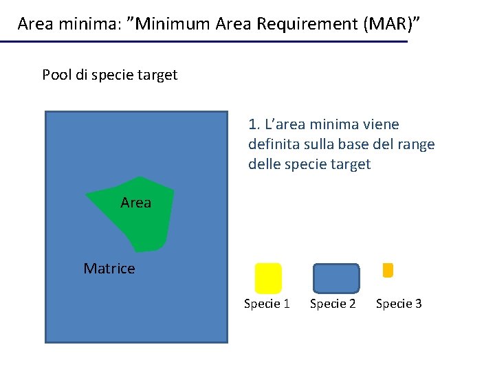 Area minima: ”Minimum Area Requirement (MAR)” Pool di specie target 1. L’area minima viene