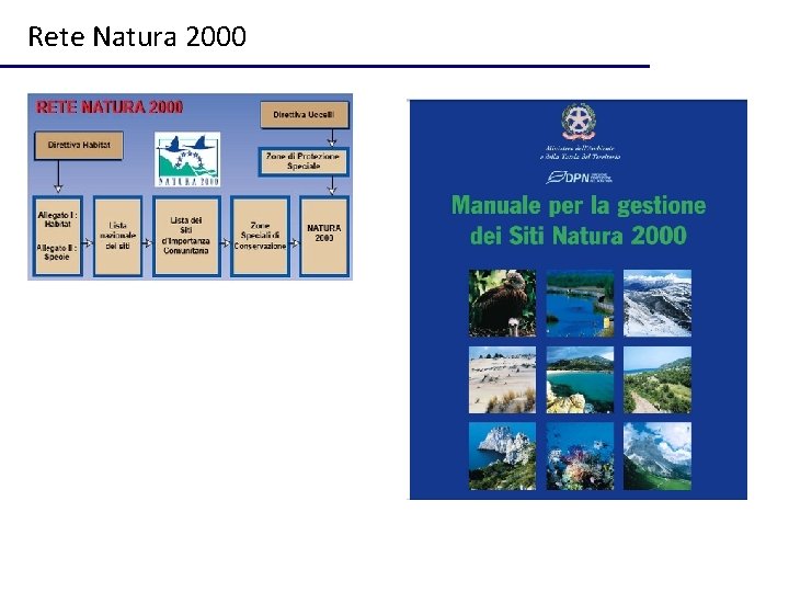 Rete Natura 2000 