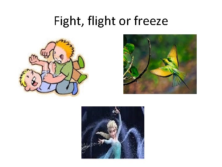 Fight, flight or freeze 