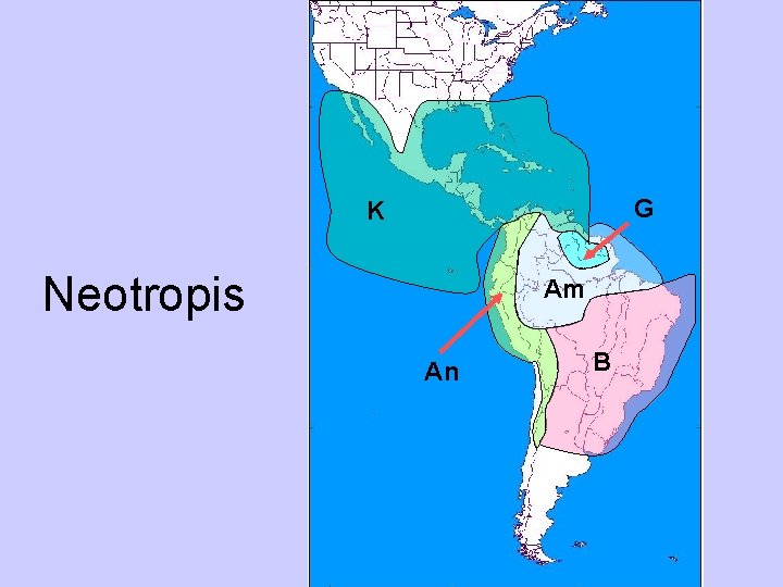 G K Neotropis Am An B 