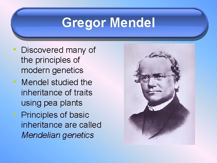 Gregor Mendel • Discovered many of • • the principles of modern genetics Mendel
