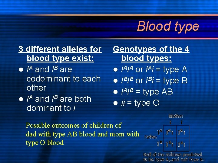 Blood type 3 different alleles for blood type exist: l IA and IB are